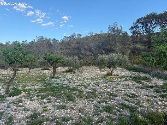 Parcela en Venta en Abanillas, Murcia