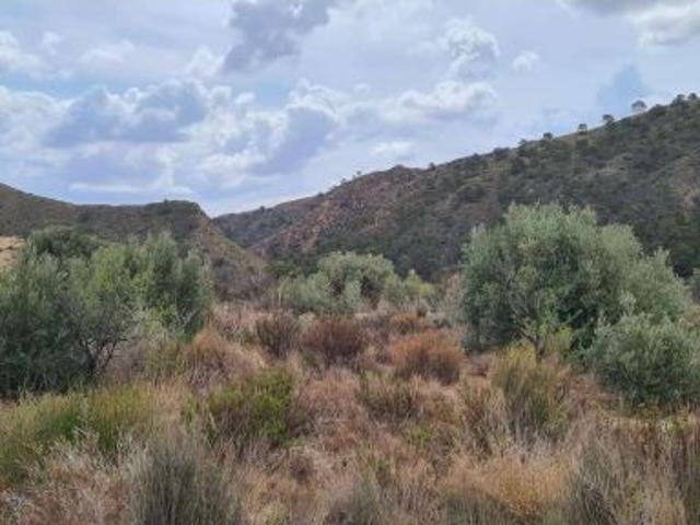 Parcela en Venta en Abanillas, Murcia