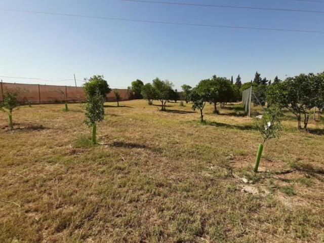 Parcela en venta en Alcalá de Guadaira, Urbanizacion La Galbana