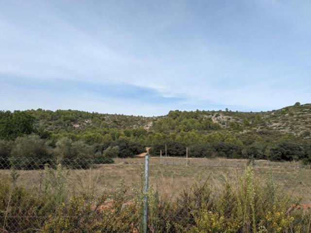 Parcela en venta en Alcalali, Paraje la fuente