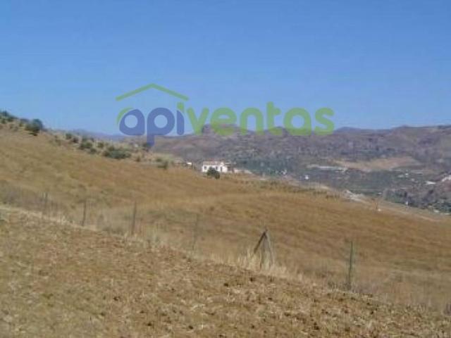 Parcela en venta en Albox, El saltador carrret.pulpi