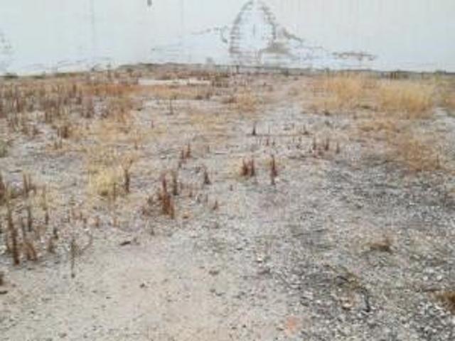 Parcela en venta en Alguazas, Alguazas