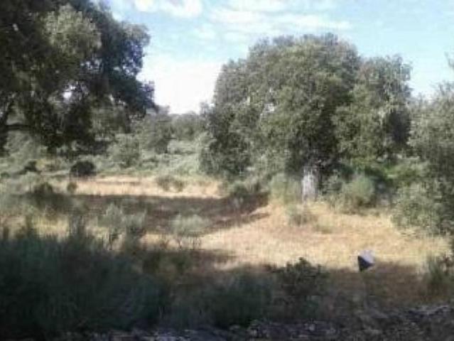 Parcela en venta en Aldea del Obispo, Castilla y leon