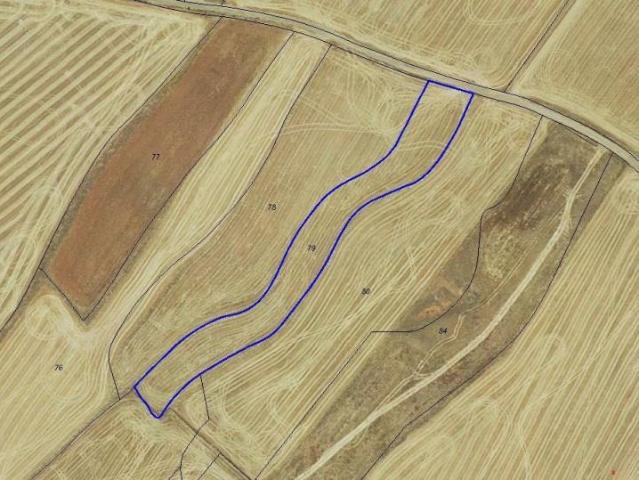 Parcela en venta en Aldeatejada, Aldeatejada