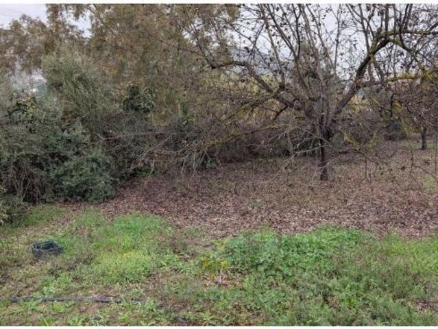 Parcela en Venta en Alhaurín el Grande, Málaga