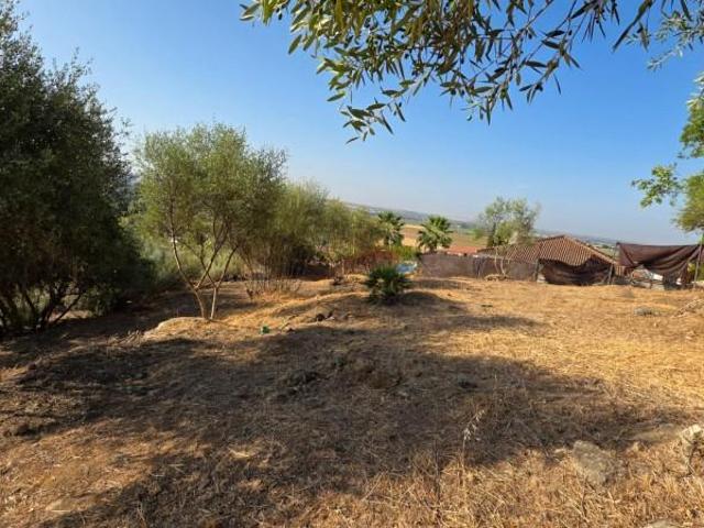 Parcela en venta en Almodóvar del Río, Andalucia