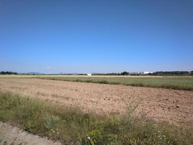 Parcela en venta en Almansa, El rubial
