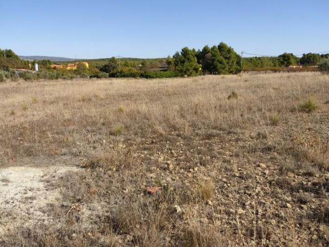Parcela en venta en Almansa, Los Espetones