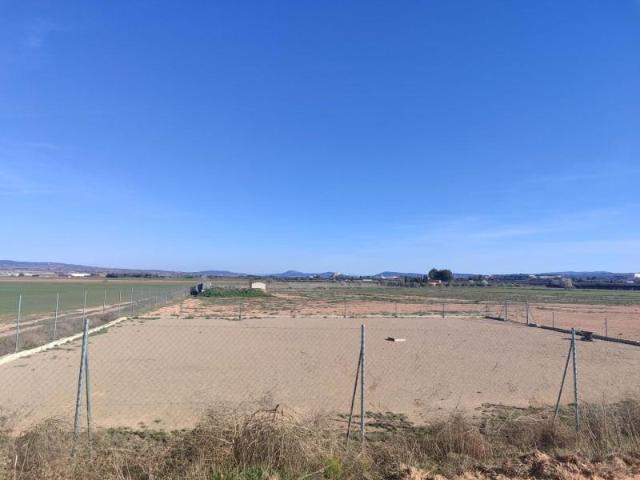 Parcela en venta en Almansa, San anton