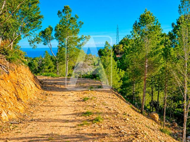 Parcela en venta en Altea Alicante