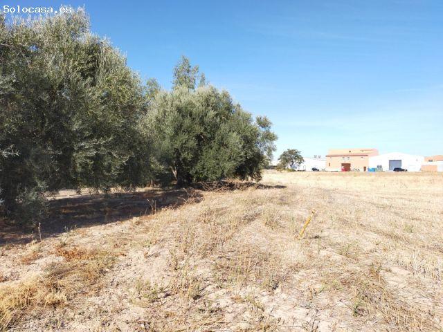 Parcela en venta en Antequera