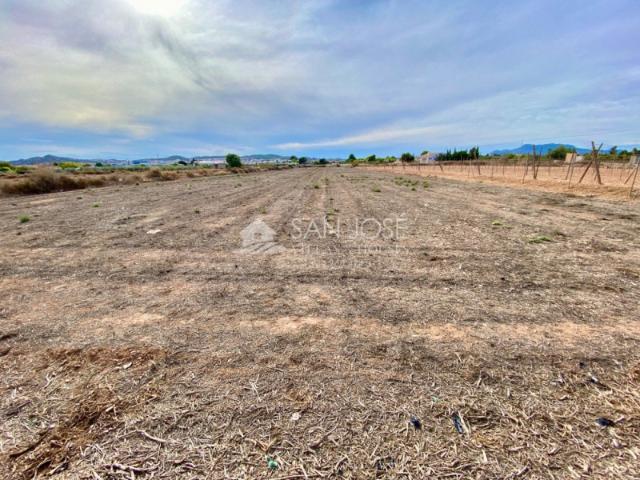 Parcela en venta en Aspe, La horna