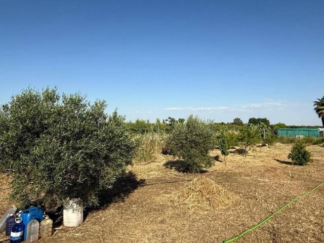Parcela en venta en Badajoz, Casas aisladas