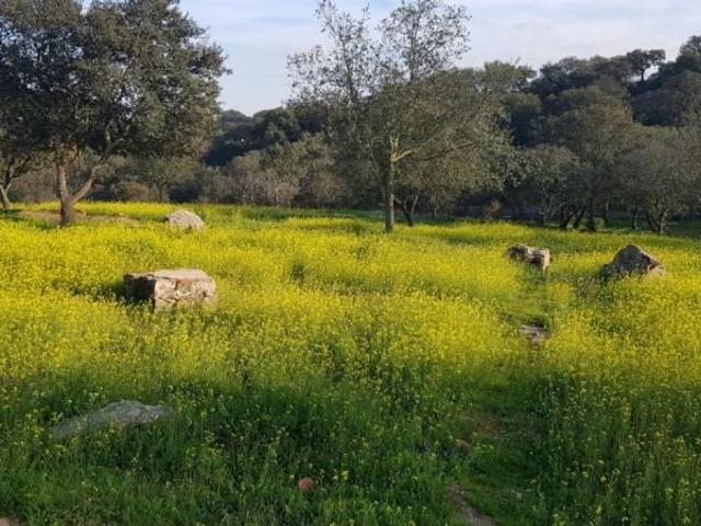 Parcela en venta en Badajoz, Urb. Ctra. De Sevilla