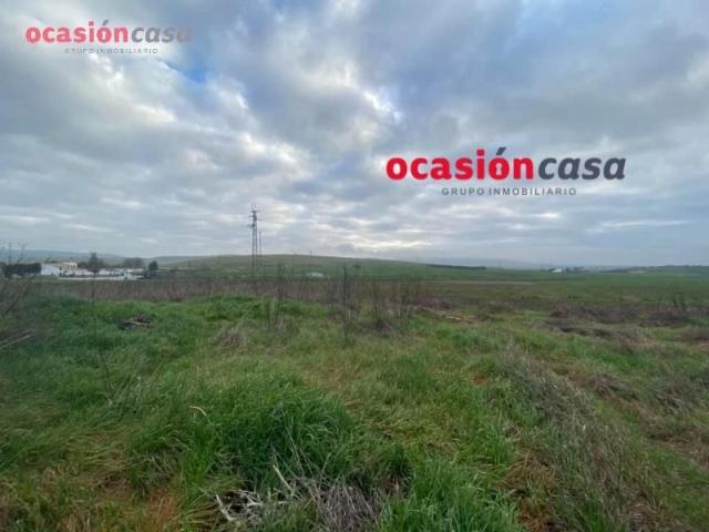 Parcela en venta en Bélmez, Belmez