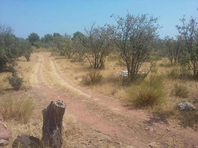 Parcela en venta en Benicàssim, Benicasim Benicassim