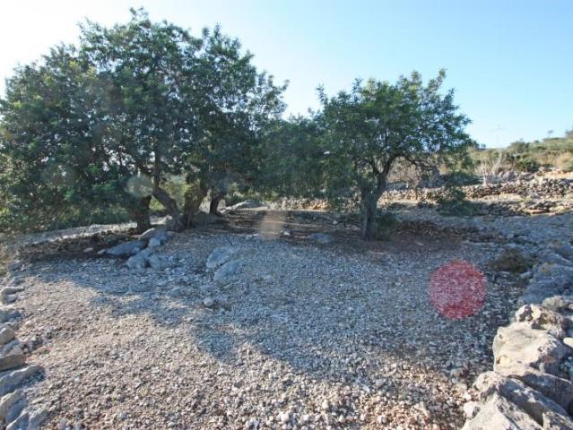 Parcela en venta en Benimeli