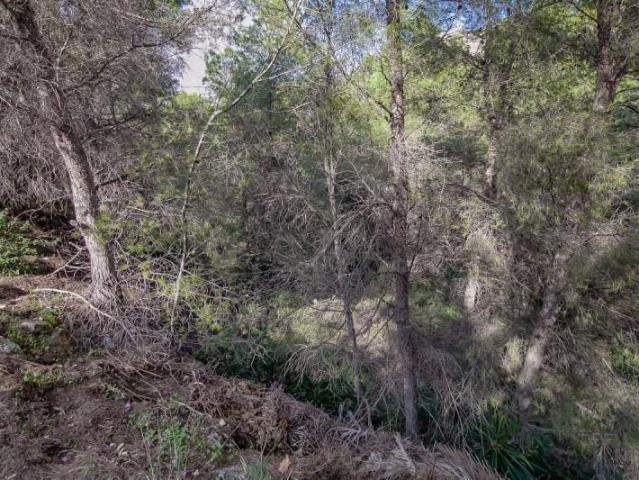 Parcela en venta en Benissa, Fanadix