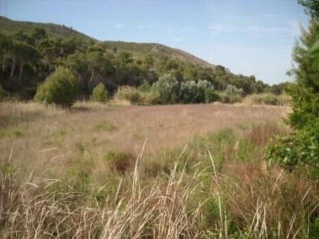 Parcela en venta en Calasparra, Calasparra