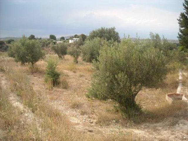Parcela en venta en Calasparra, Calasparra