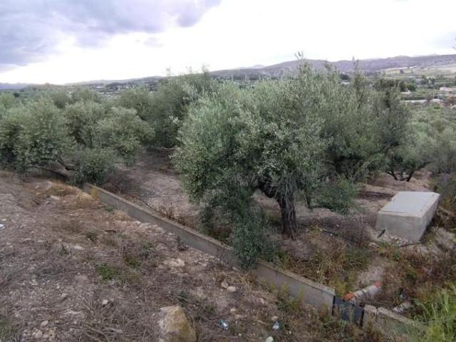 Parcela en venta en Calasparra, Calasparra