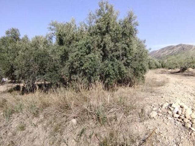 Parcela en venta en Calasparra, Calasparra