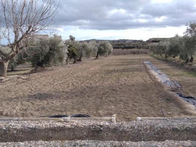 Parcela en venta en Calasparra, Calasparra