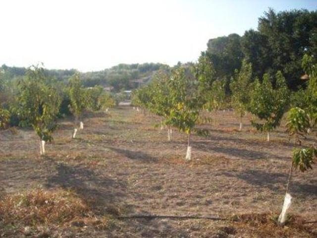 Parcela en venta en Calasparra, Calasparra