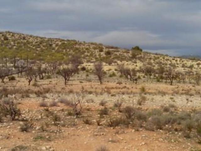 Parcela en venta en Calasparra, Calasparra