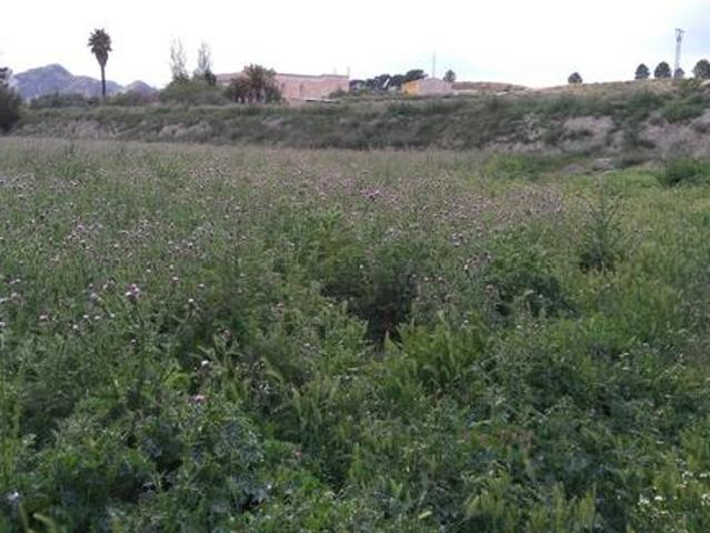 Parcela en venta en Calasparra, Calasparra