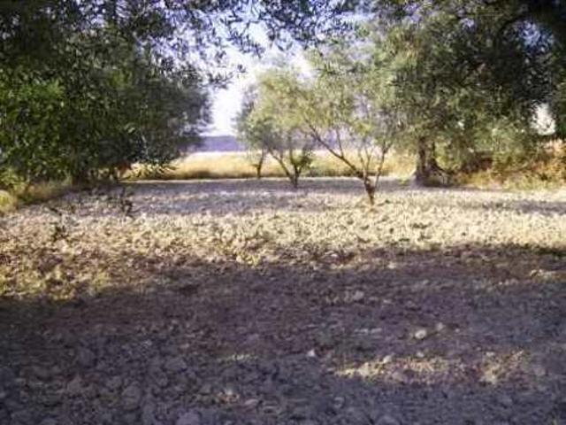 Parcela en venta en Calasparra, Calasparra