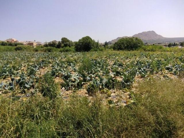 Parcela en venta en Calasparra, Calasparra centro