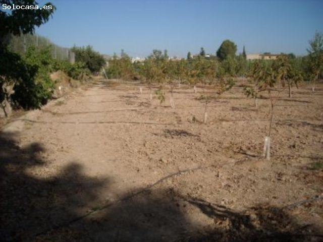 Parcela en Venta en Calasparra, Murcia