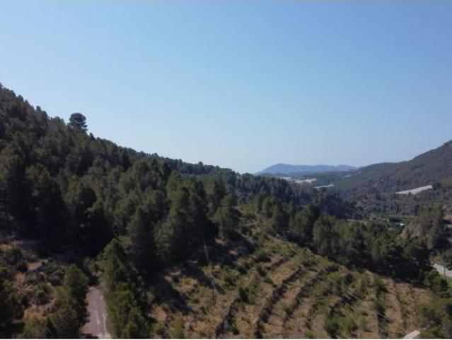Parcela en Venta en Callosa dEn Sarria, Alicante