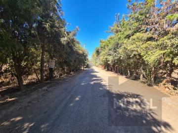 Parcela en Venta en Camino El Oliveto Balmaceda Talagante