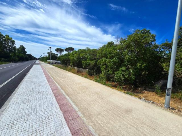 PARCELA EN VENTA EN CAMPANO 2.625 M2 SEGREGADA A PIE DE CARRETERA