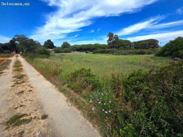 ?PARCELA EN VENTA EN CAMPANO 2.625 M2 SEGREGADA A PIE DE CARRETERA?