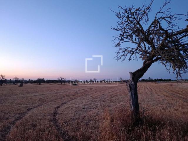Parcela en venta en Campos Baleares