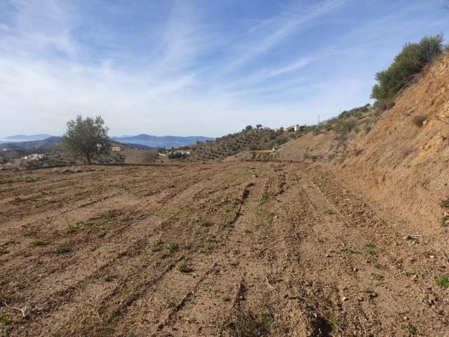 Parcela en venta en Canillas de Albaida Málaga