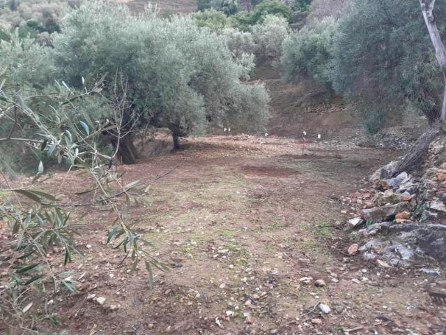 Parcela en venta en Canillas de Albaida Málaga