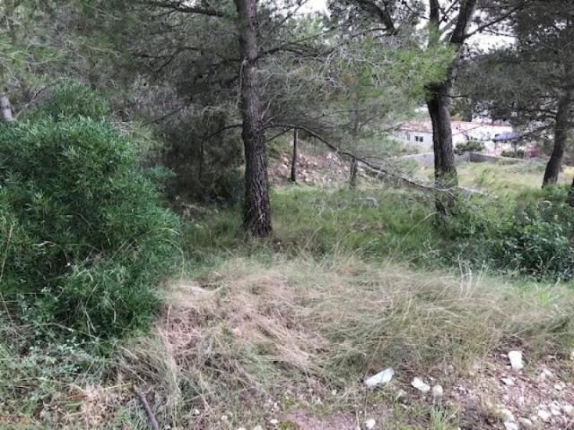 Parcela en venta en Canyelles, Les Palmeres