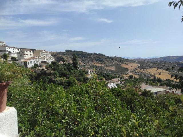 Parcela en venta en Casarabonela Málaga