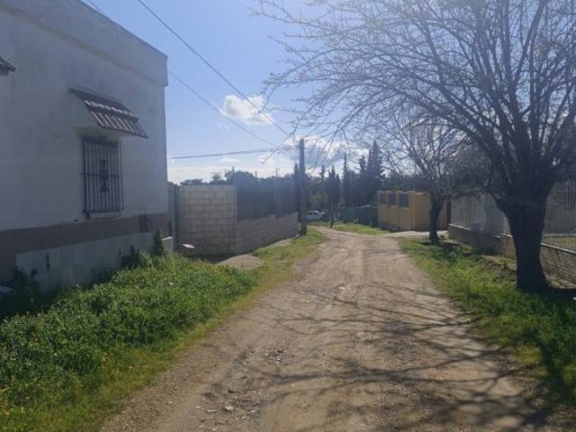 Parcela en venta en Castilblanco de los Arroyos