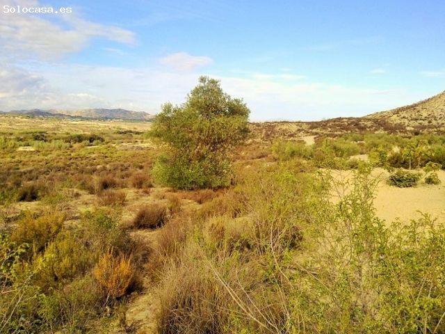 Parcela en Venta en Castrillo de Murcia, Murcia