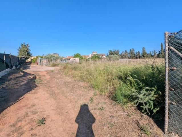 Parcela en venta en Cartagena, Los Camachos