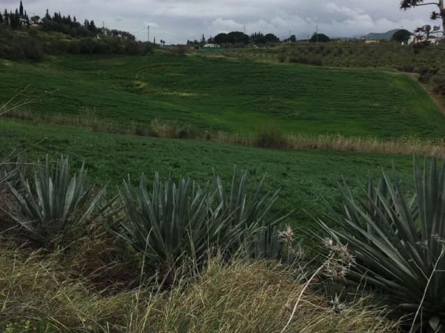 Parcela en venta en Cártama, Cartama