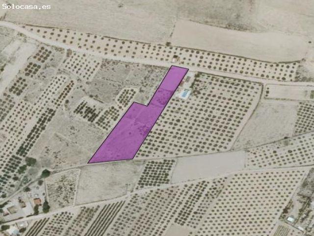 Parcela en Venta en Caudete, Albacete