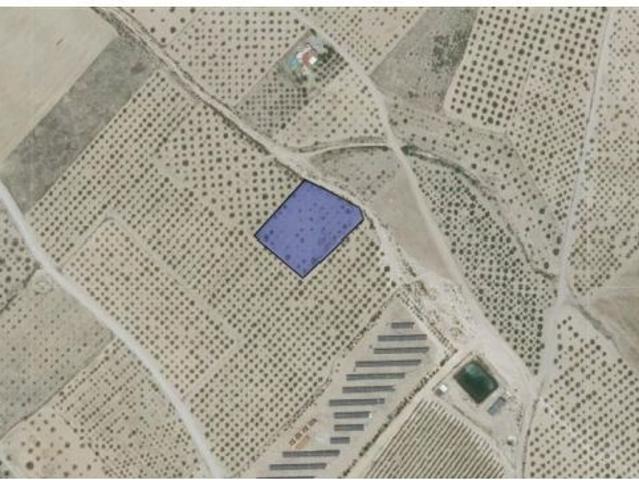 Parcela en Venta en Caudete, Albacete