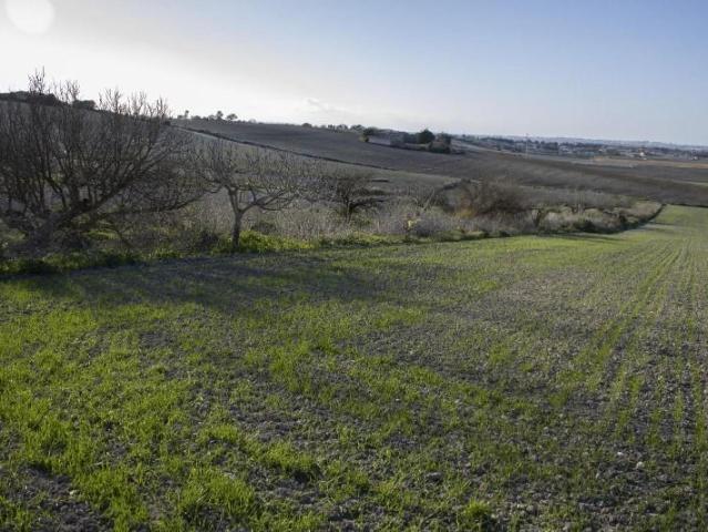 Parcela en venta en Chiclana de la Frontera, Marquesado