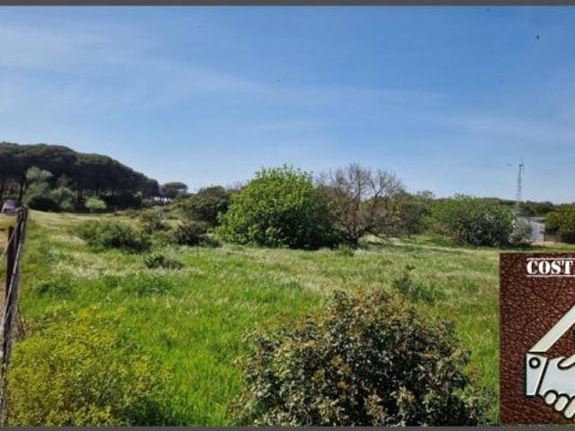 Parcela en Venta en Chiclana de la Frontera, Cádiz